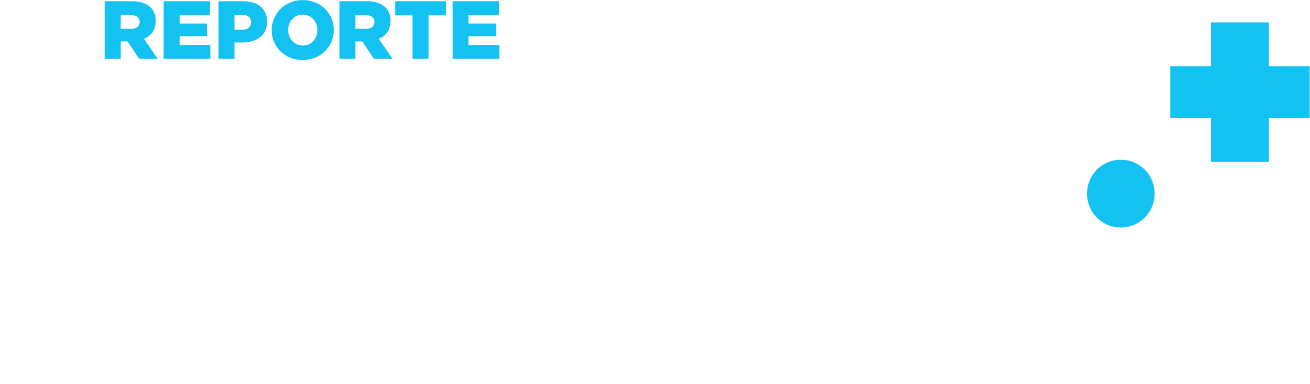 Reporte Indigo+ - Reporte Indigo